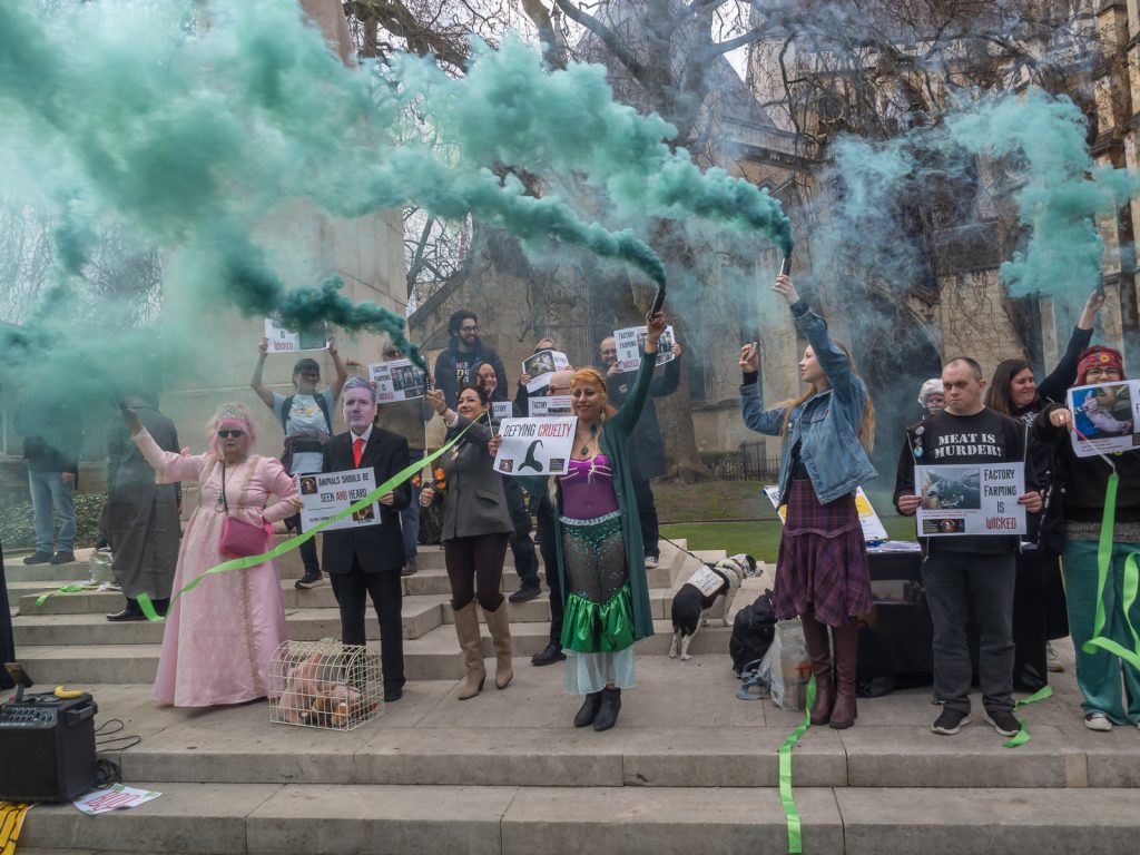 12 Days of Christmas