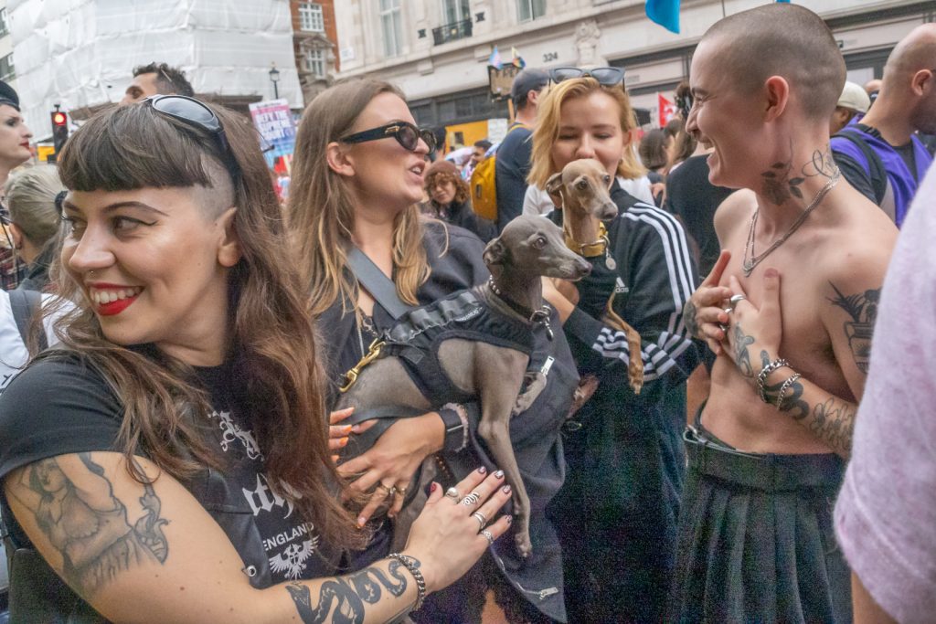 12 Days of Christmas – July