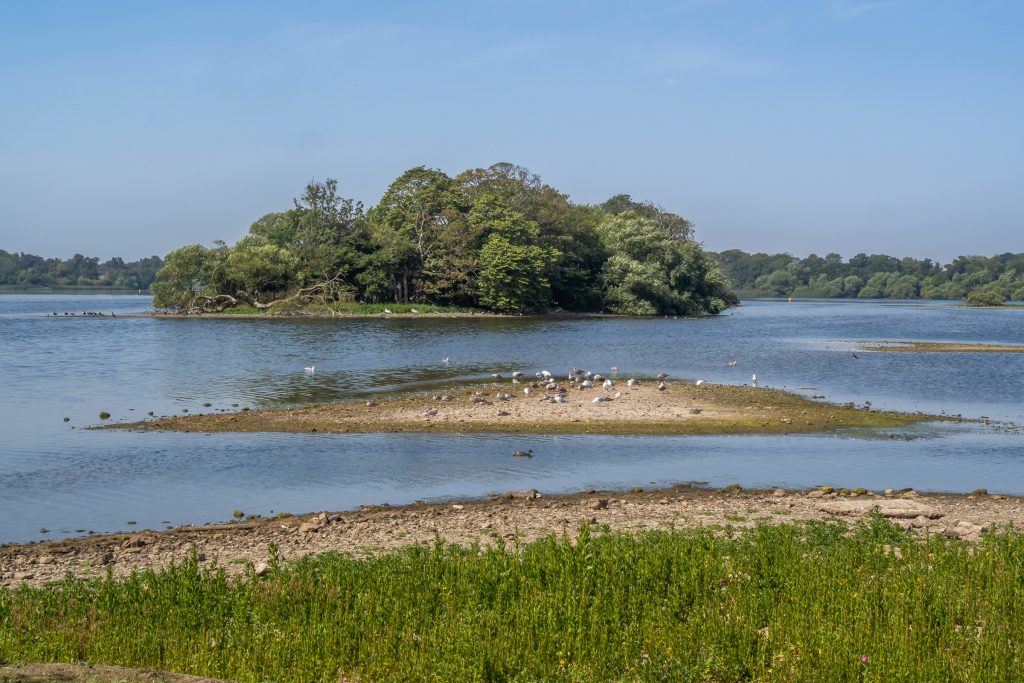 Swan Island, Hornsey Mere, Hornsea, East Yorkshire